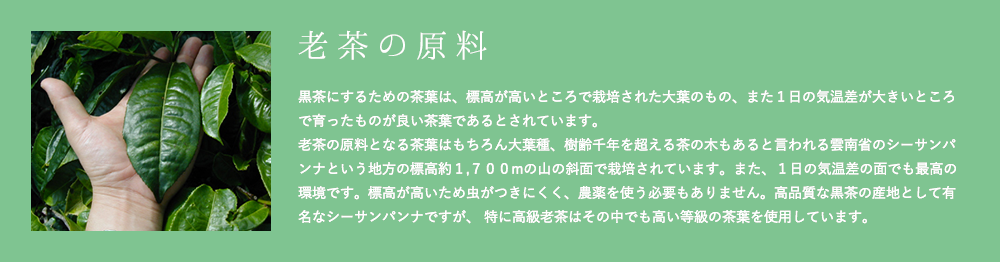 老茶の原料